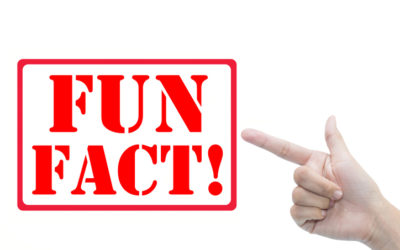 3 Fun Facts About Business Brokers