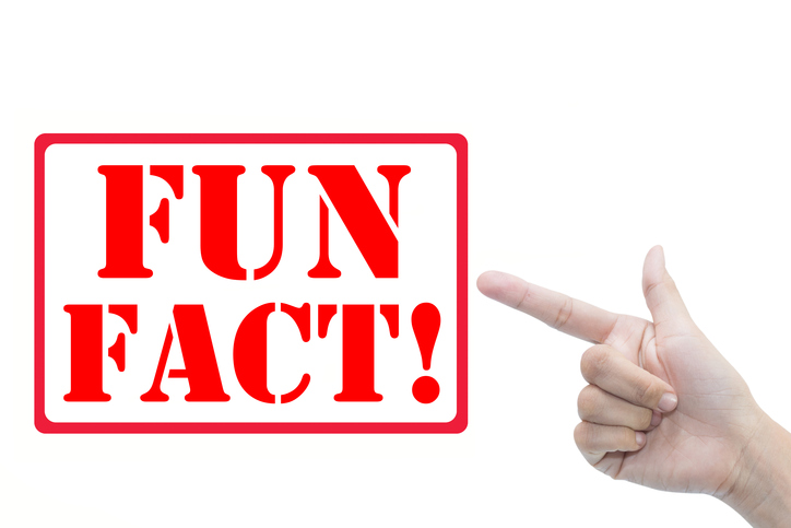 3 Fun Facts About Business Brokers