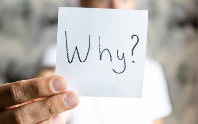 4 Reasons to Become a Business Advisor
