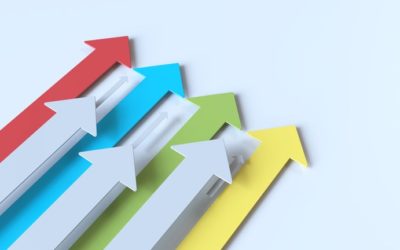 Understanding Transworld Franchise’s Multiple Revenue Streams