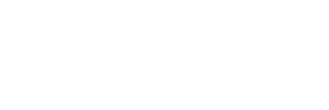 Black Optix Tint logo